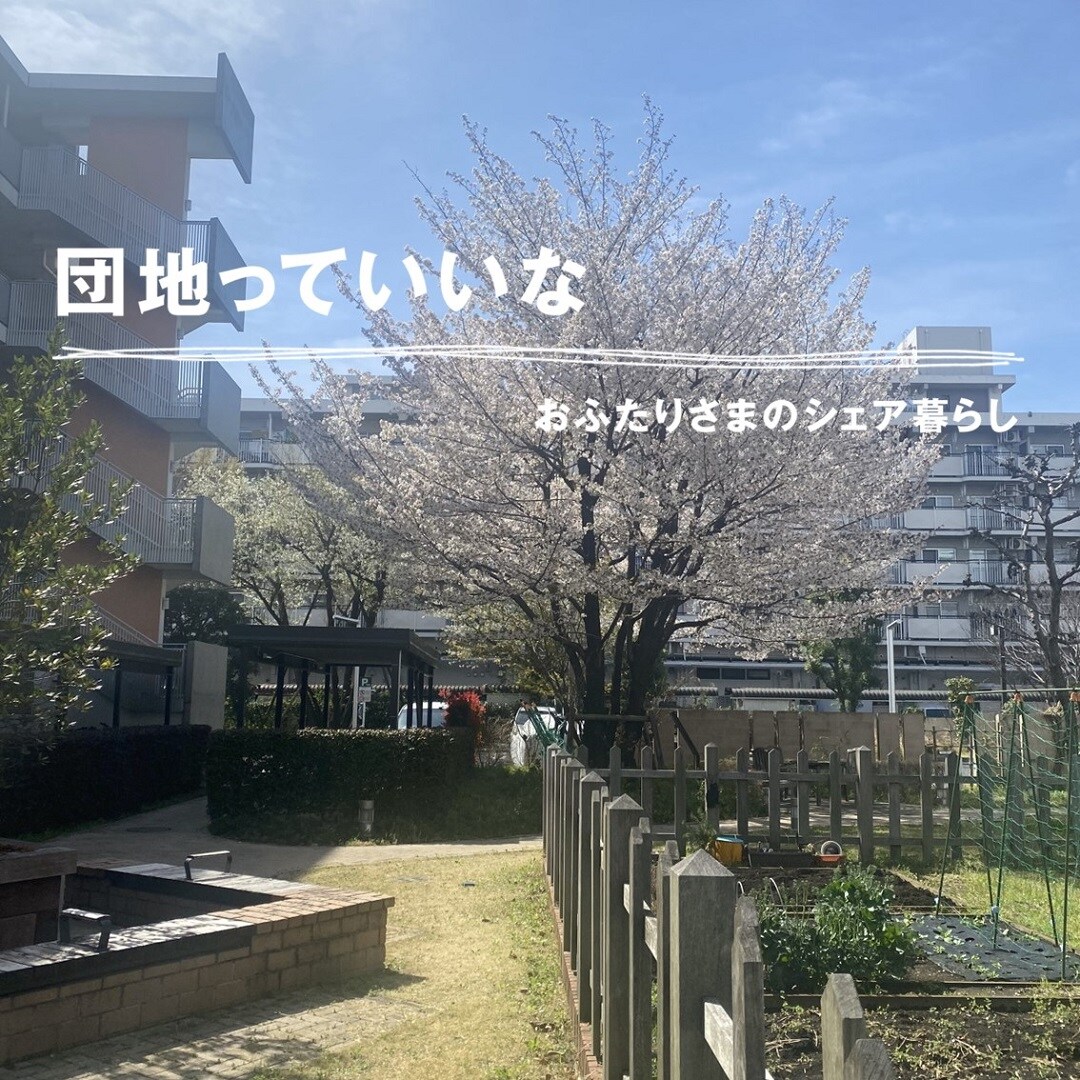 【池袋西武】　『団地っていいな　おふたりさまのシェア暮らし』セカンドシーズン、vol.9が公開されました