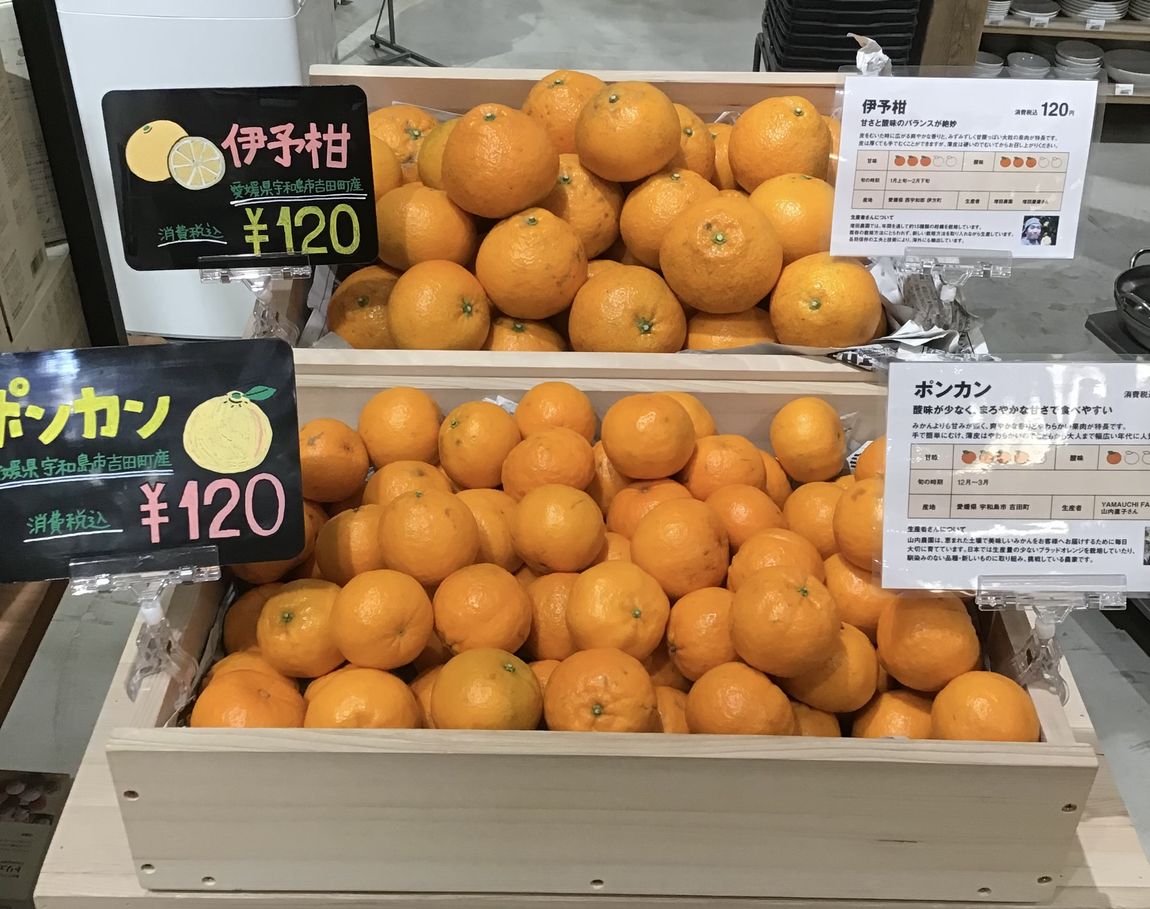 青果