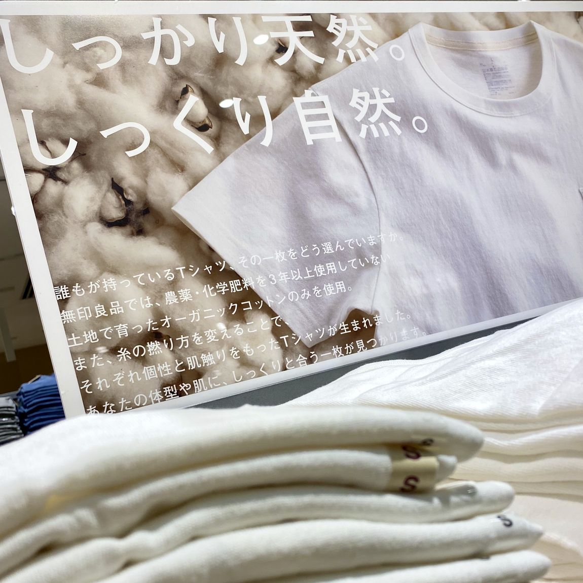 Tシャツのプロモテーブル