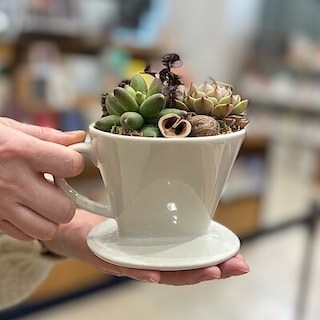 【広島パルコ】コーヒードリッパーで多肉植物寄せ植え体験｜イベントレポート