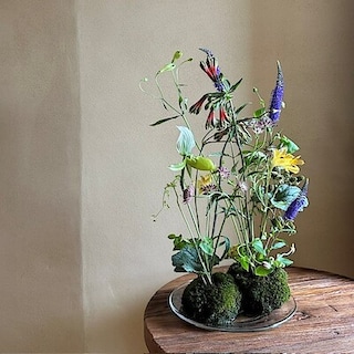 【広島パルコ】7月4日|土|『Open MUJI 花のある暮らし『草花で描く 小さな景色』開催のお知らせ｜イベント