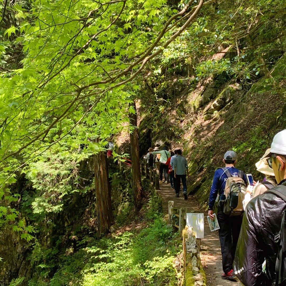 キービジュアル画像：「三段峡野外博物館に行こう」苔の世界と春の野花にであう旅 【前編】｜イベントレポート