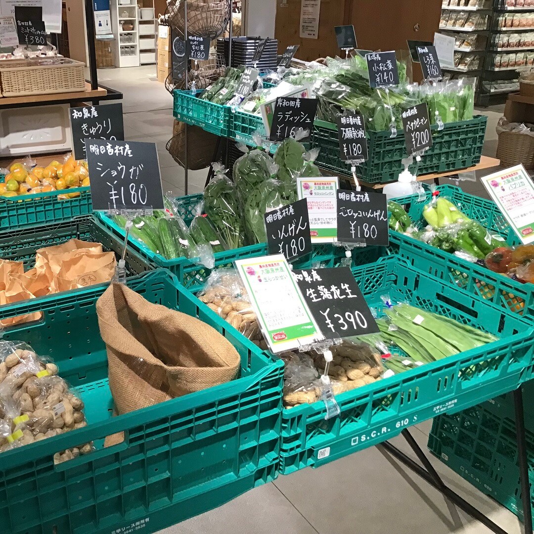【難波】野菜の常設販売がはじまります