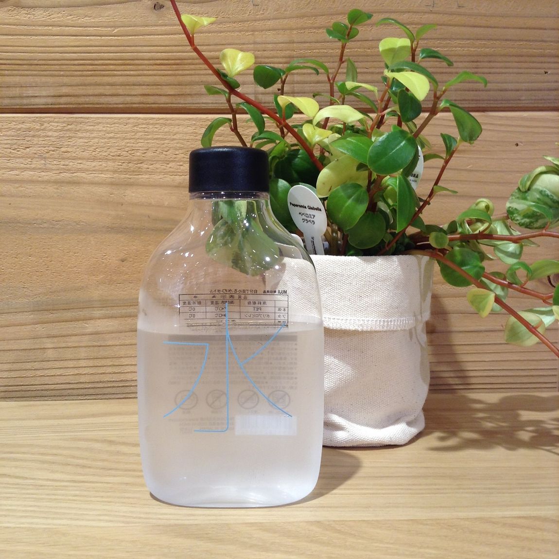 水単体