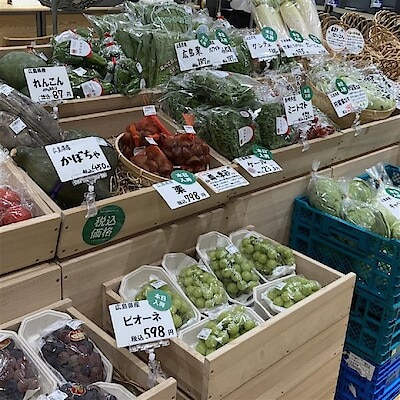 【イオンモール広島府中】10月のお野菜・果物情報