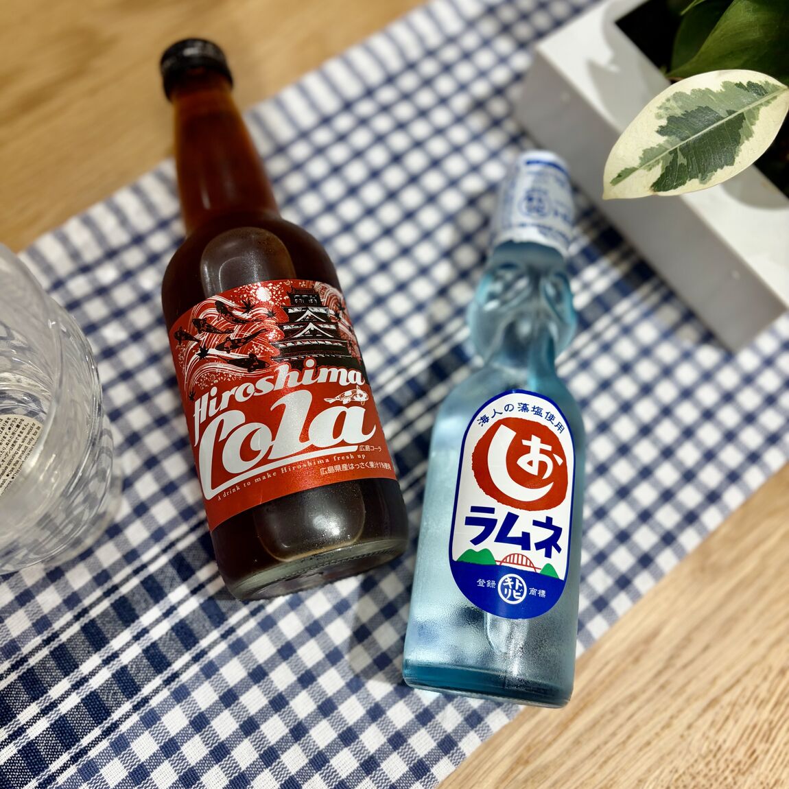 写真1