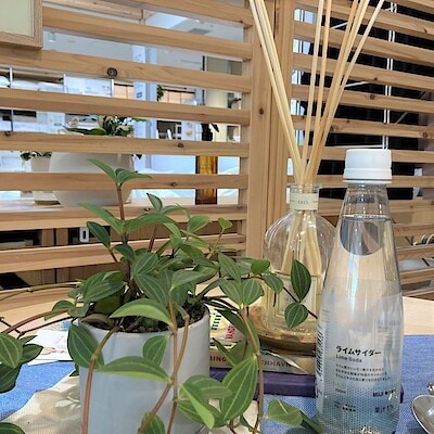 【二子玉川】「ライムサイダー」試飲のお知らせ｜2025年8月9日(土)10日