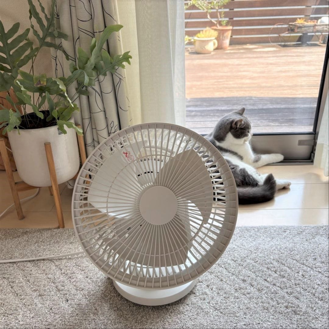 サーキュレーター