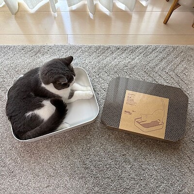 【二子玉川】新商品　猫のダンボール爪とぎ