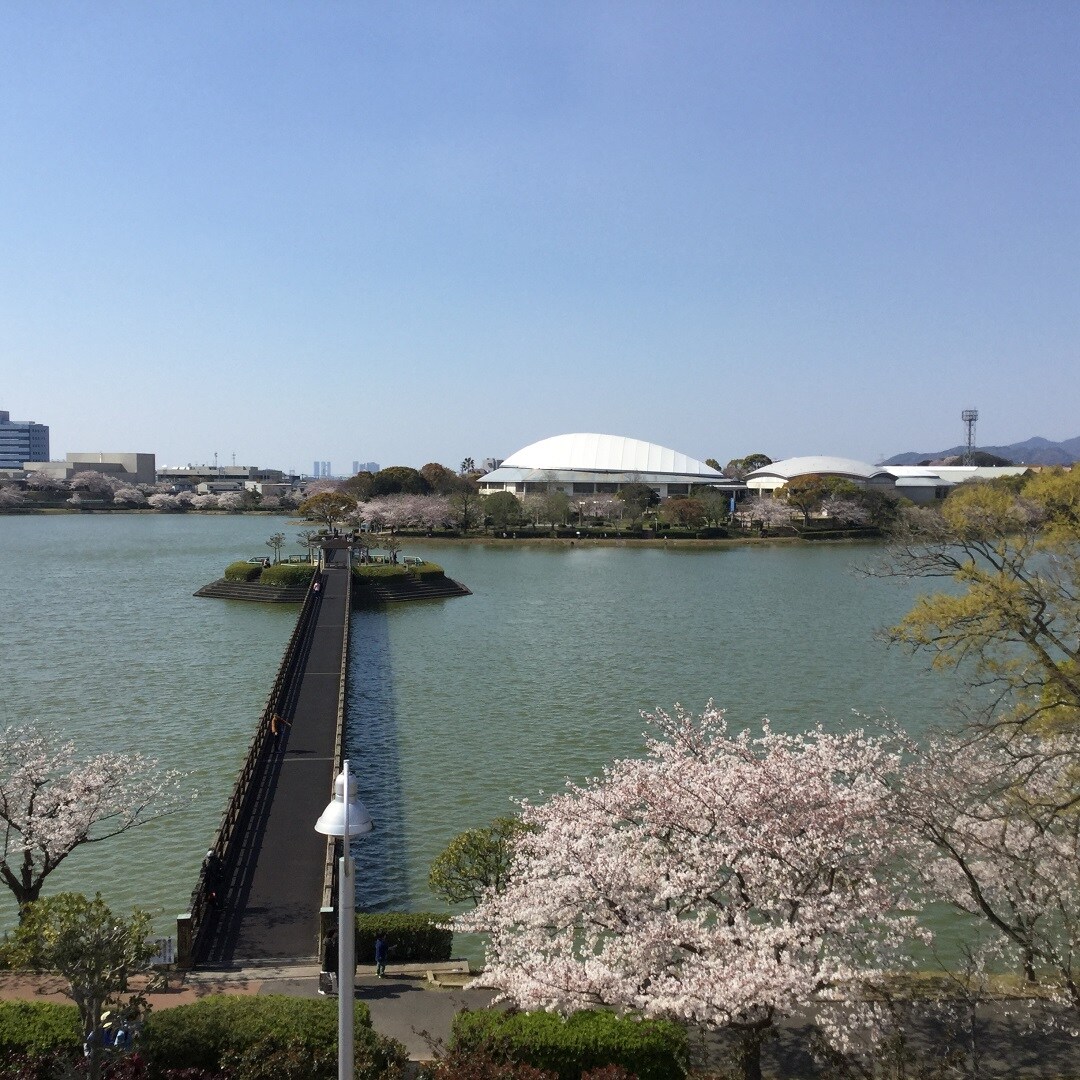 キービジュアル画像：駕与丁公園の桜を見てきました。