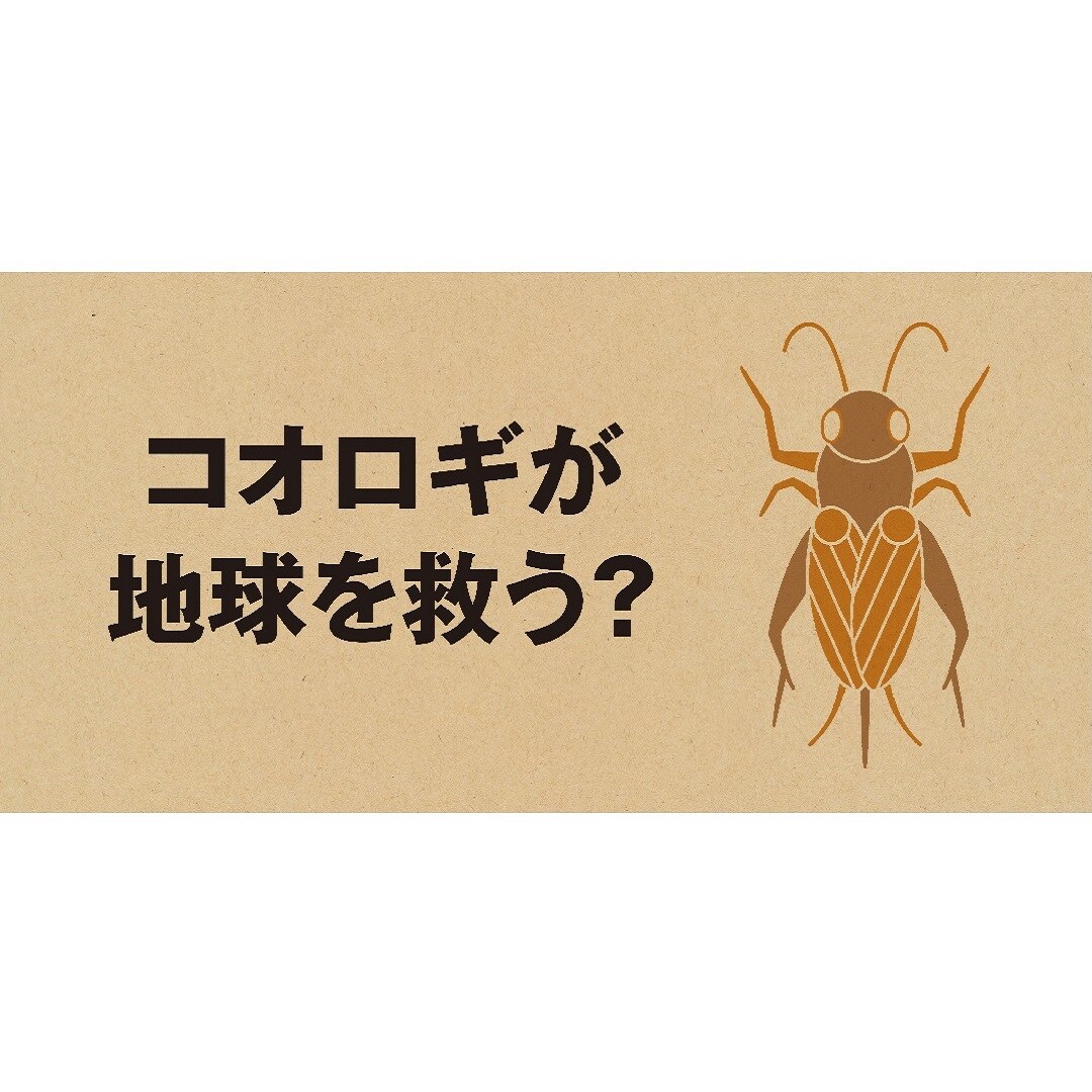 コオロギせんべい