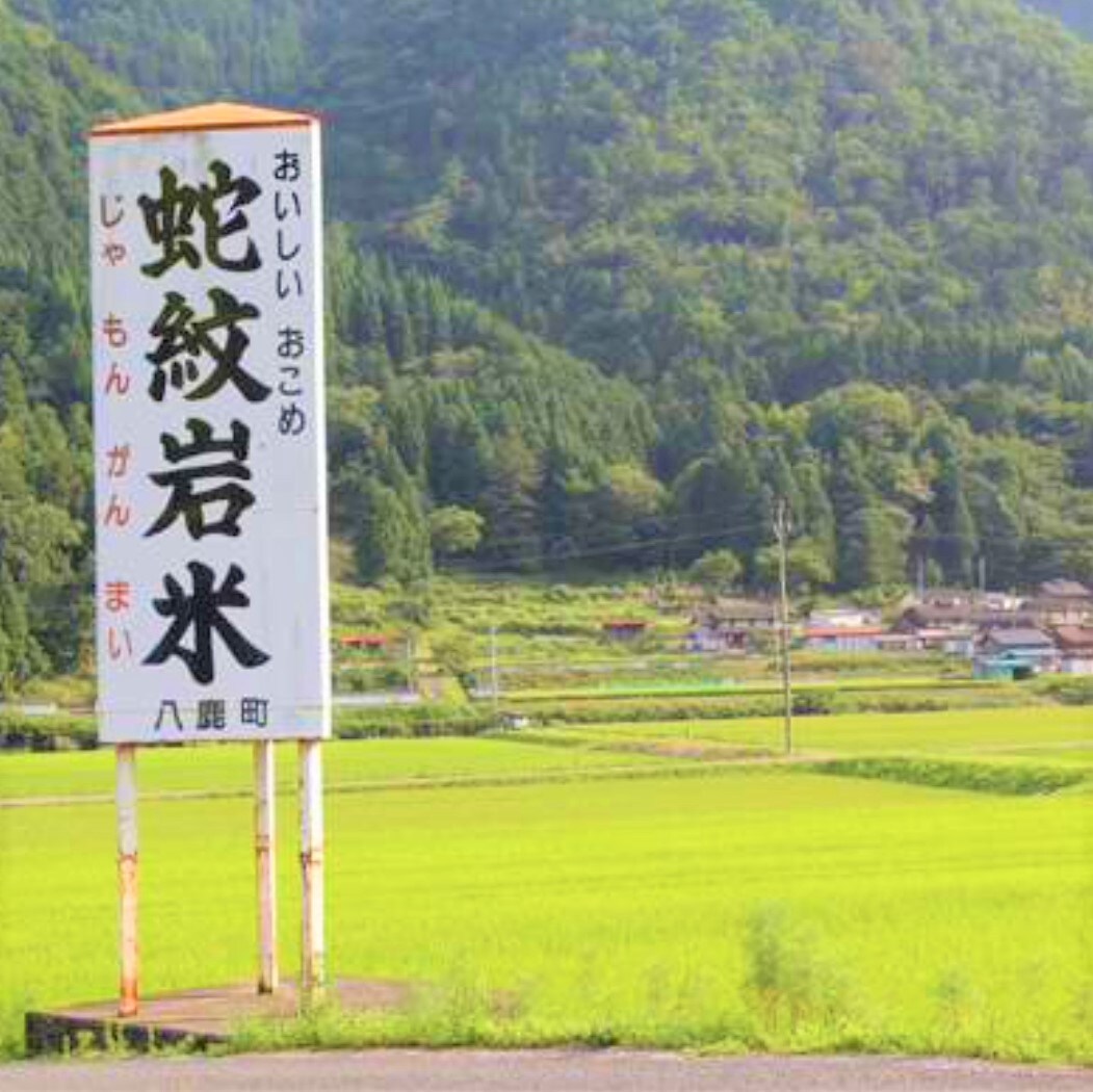 お米