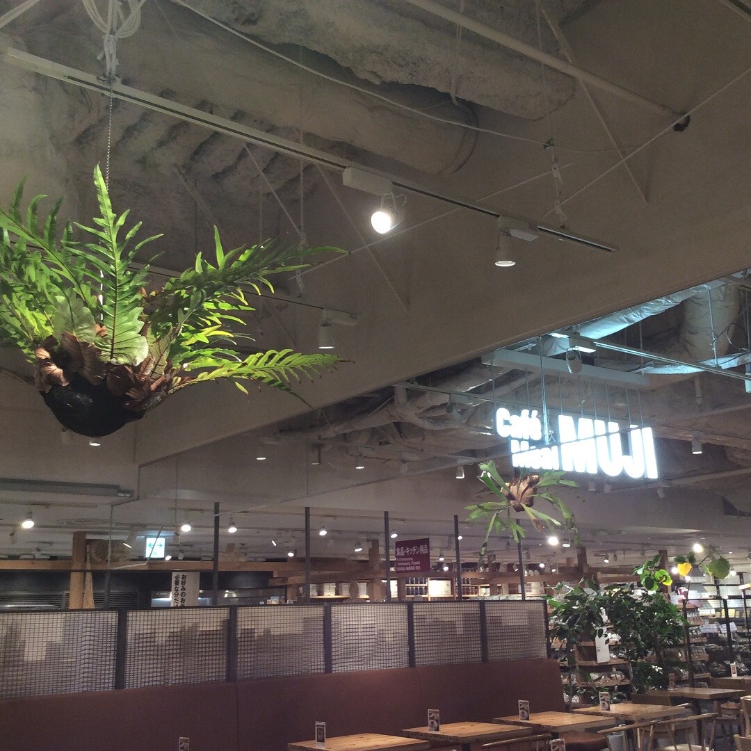 【Cafe&Meal MUJI近鉄あべのハルカス】　店内の植物