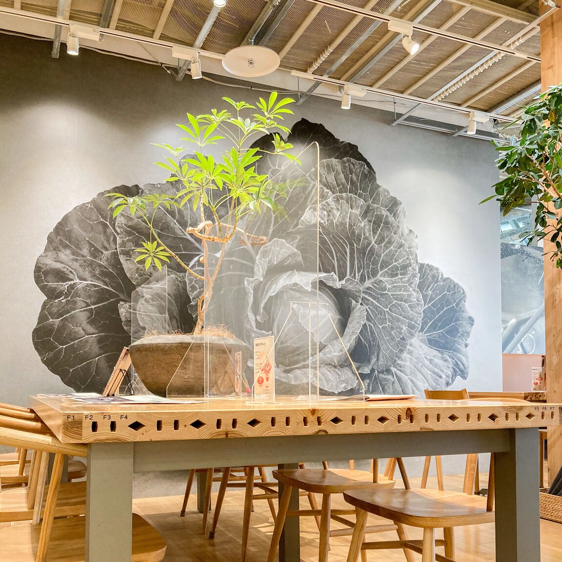 【Café&Meal MUJI COCOSA熊本下通】