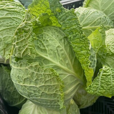 【Cafe&MealMUJIみんなみの里】里山のサラダバー～12月のおすすめ「キャベツ」