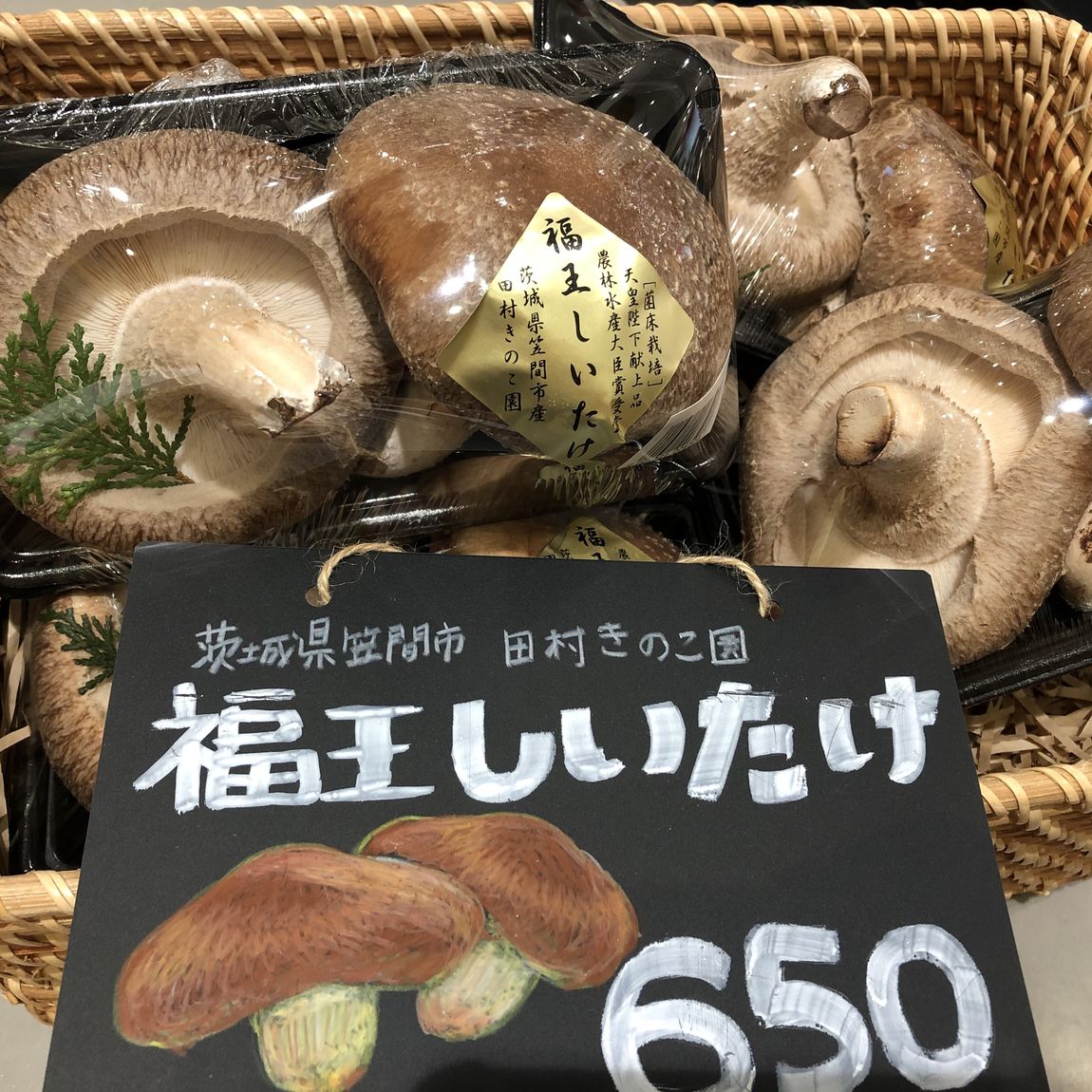 トップ画