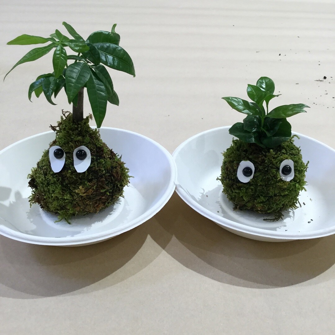 キービジュアル画像：こけ玉を作ろう｜イベントレポート