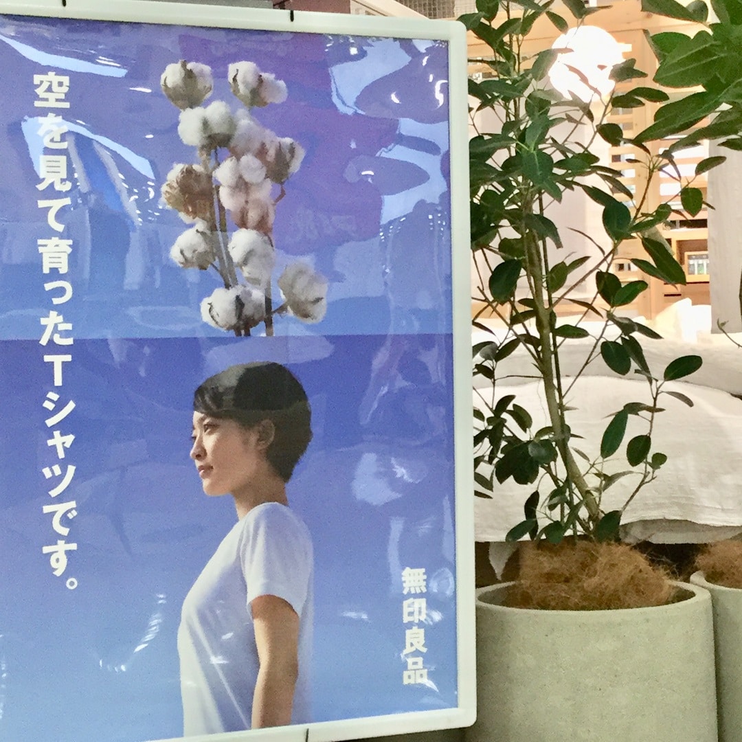 キービジュアル画像：基本の白いＴシャツ