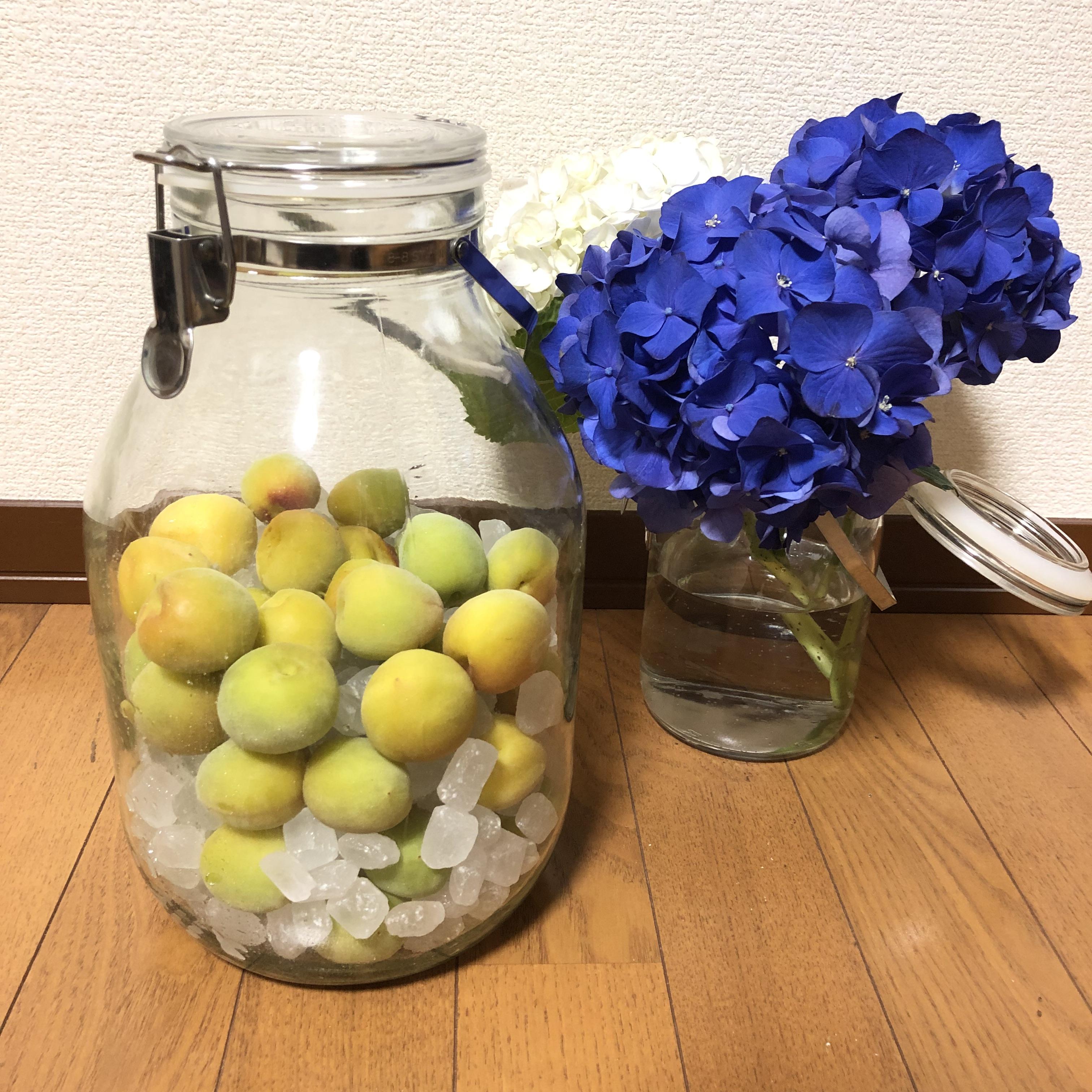 キービジュアル画像：季節を感じる梅しごと｜店長のコラム