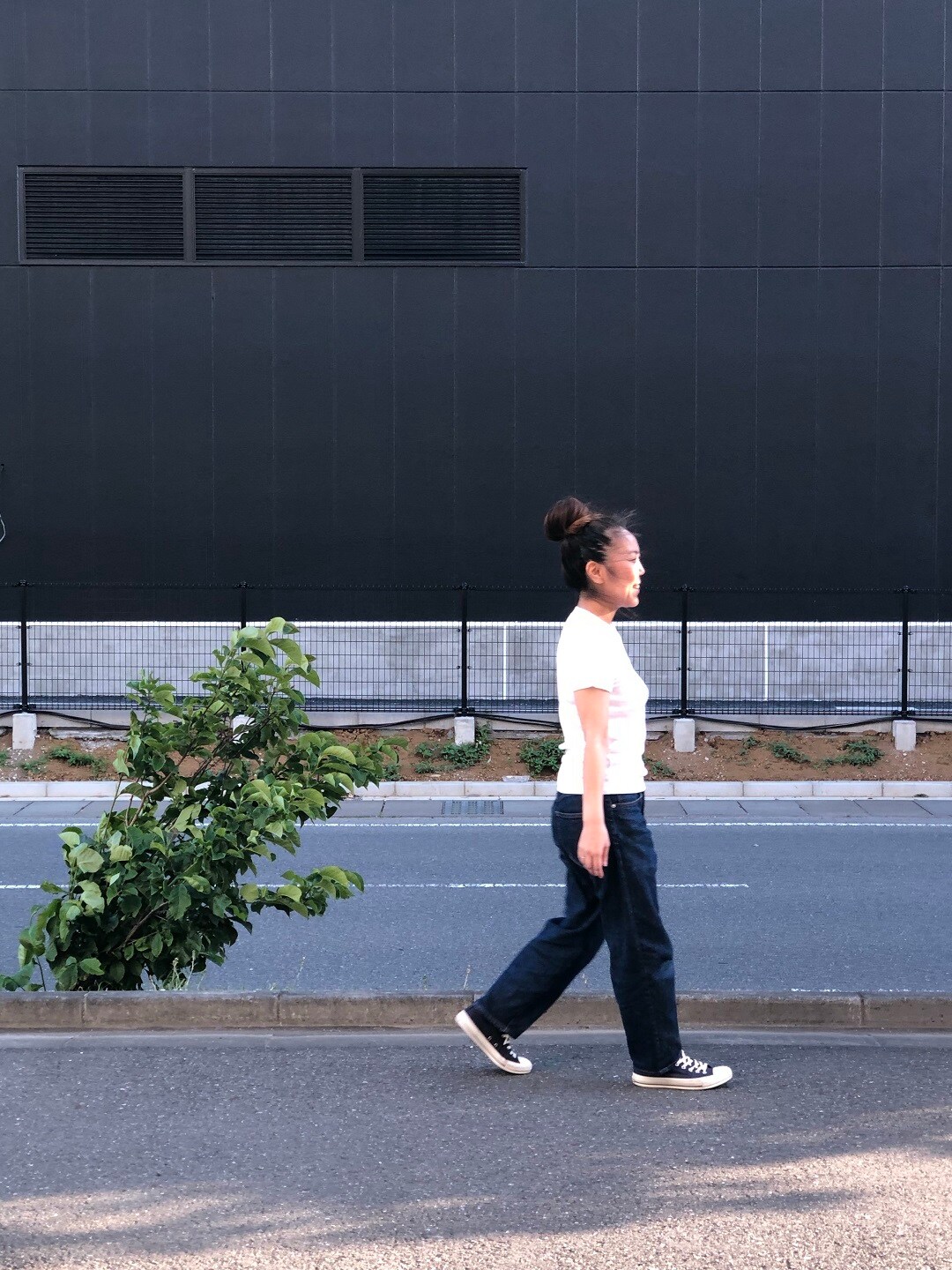 キービジュアル画像：綿のＴシャツ｜スタッフのおすすめ