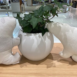 【イオンモール久御山】キッズ春服のご紹介