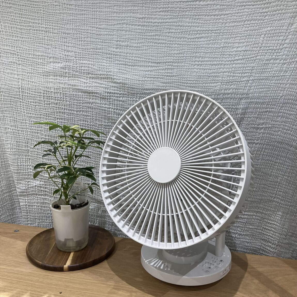サーキュレーター画像