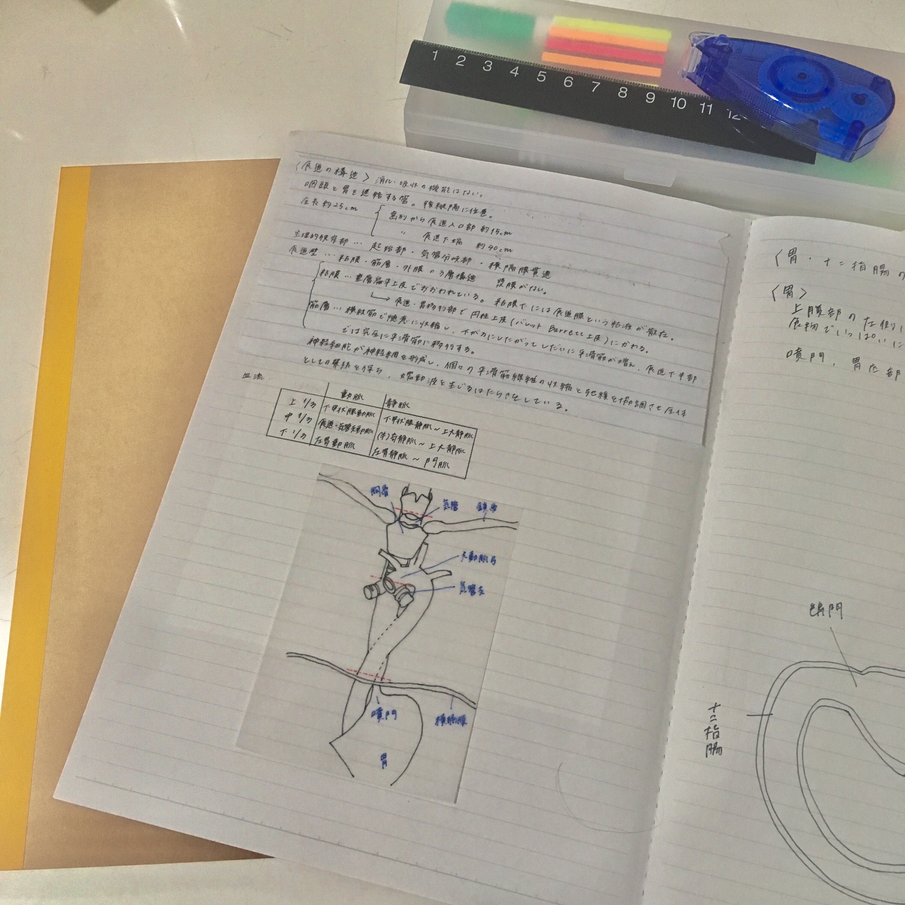 キービジュアル画像：Back to school