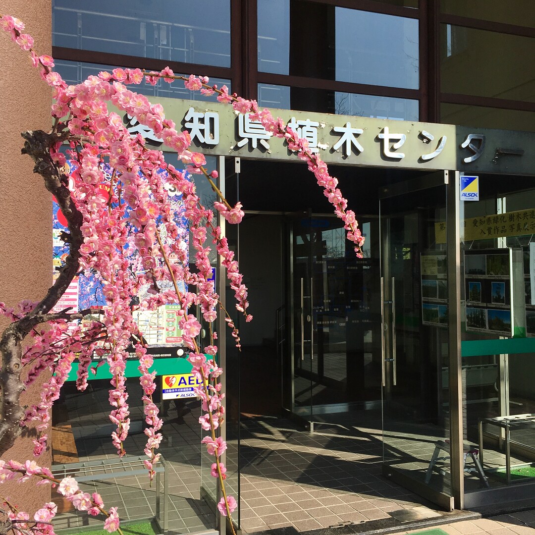 キービジュアル画像：いなざわ梅まつり｜地域紹介