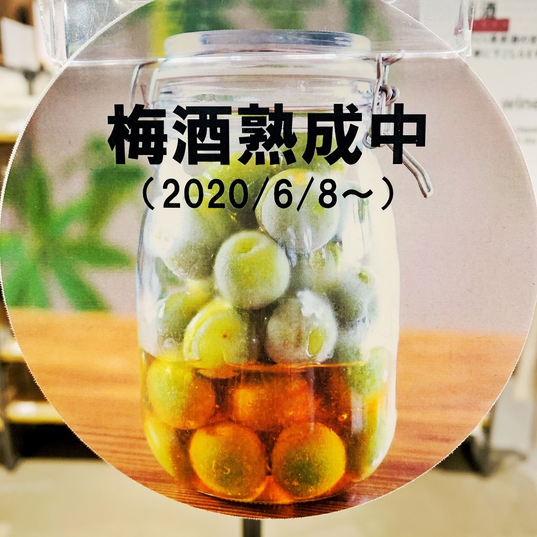 梅酒１