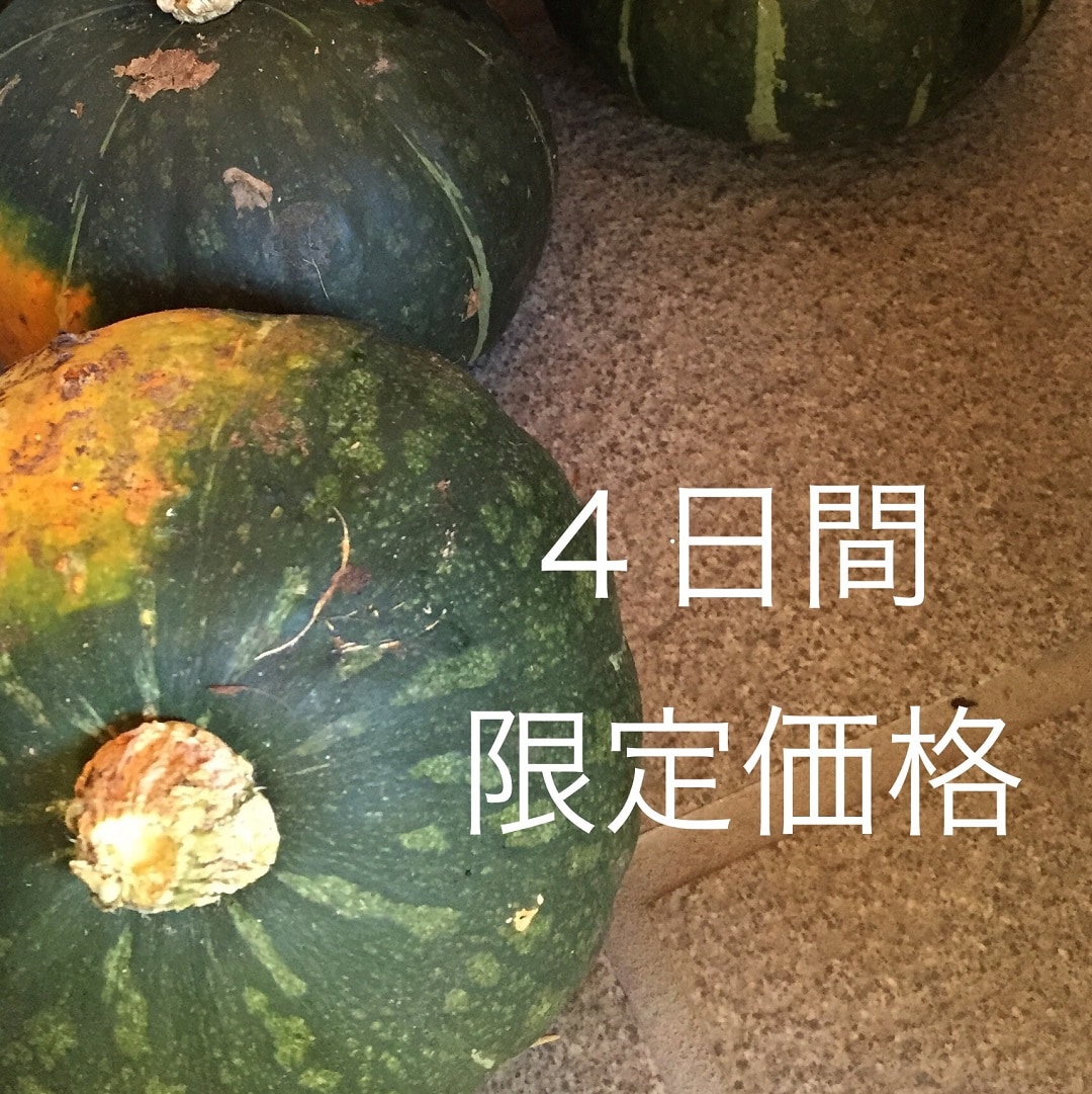 キービジュアル画像：明日から３連休、無印良品にくる？｜スタッフのおすすめ