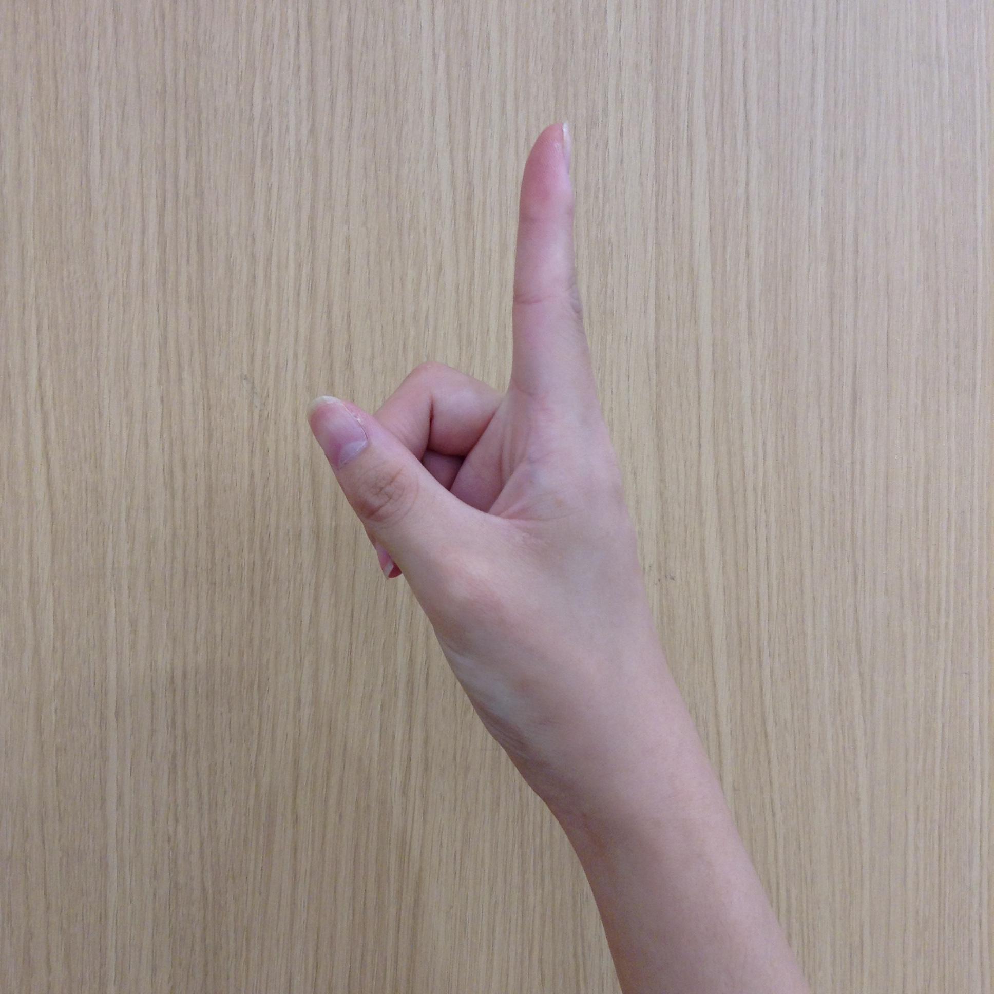 キービジュアル画像：全国のトレンドを探ってみた｜スタッフおすすめ