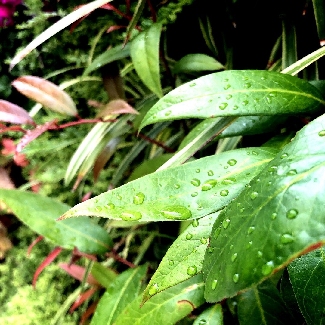キービジュアル画像：梅雨のジメジメした日、そんな時の強い味方です。