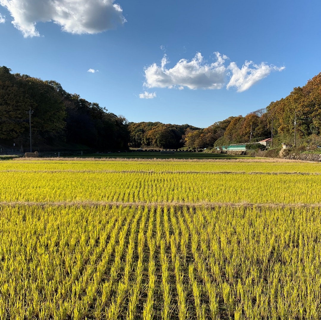 メイン