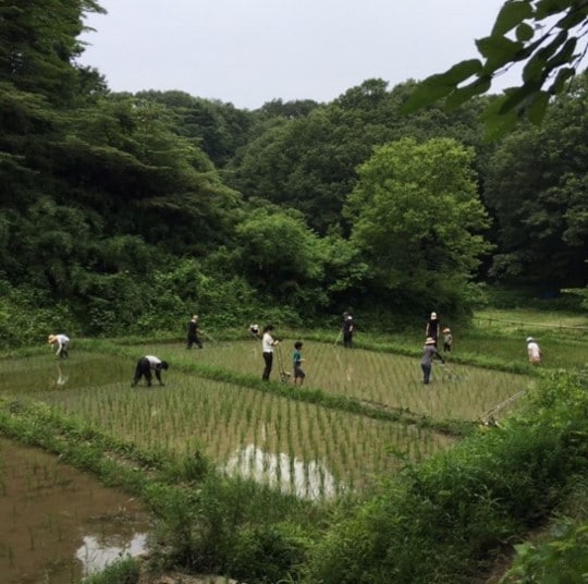 画像１
