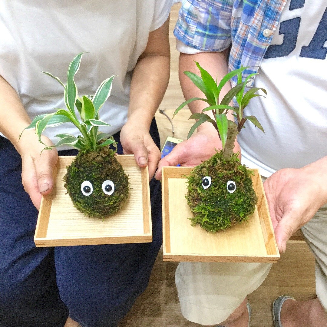 キービジュアル画像：苔玉ワークショップ開催しました！| イベントレポート