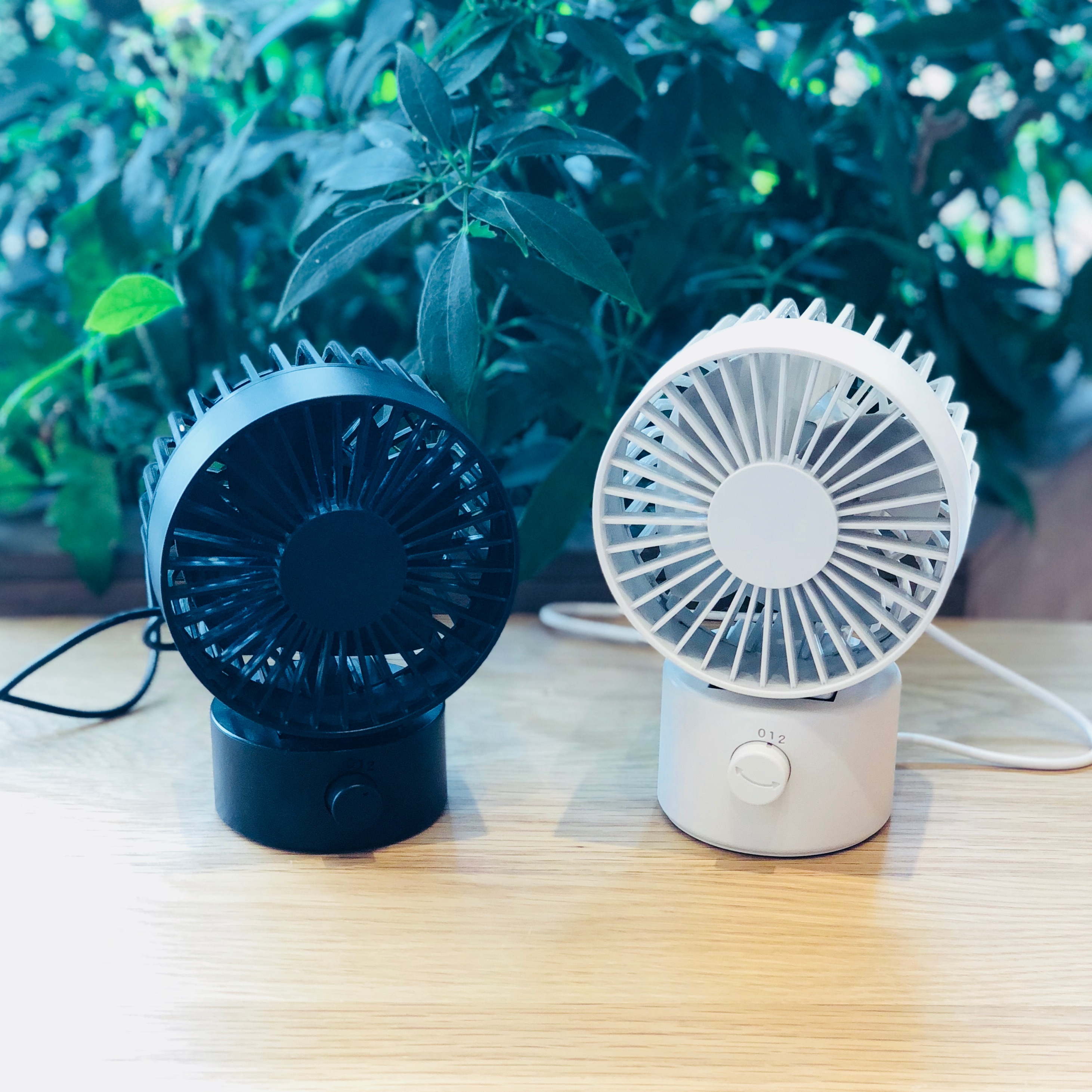 キービジュアル画像：風と暮らす。　−無印良品の季節家電−