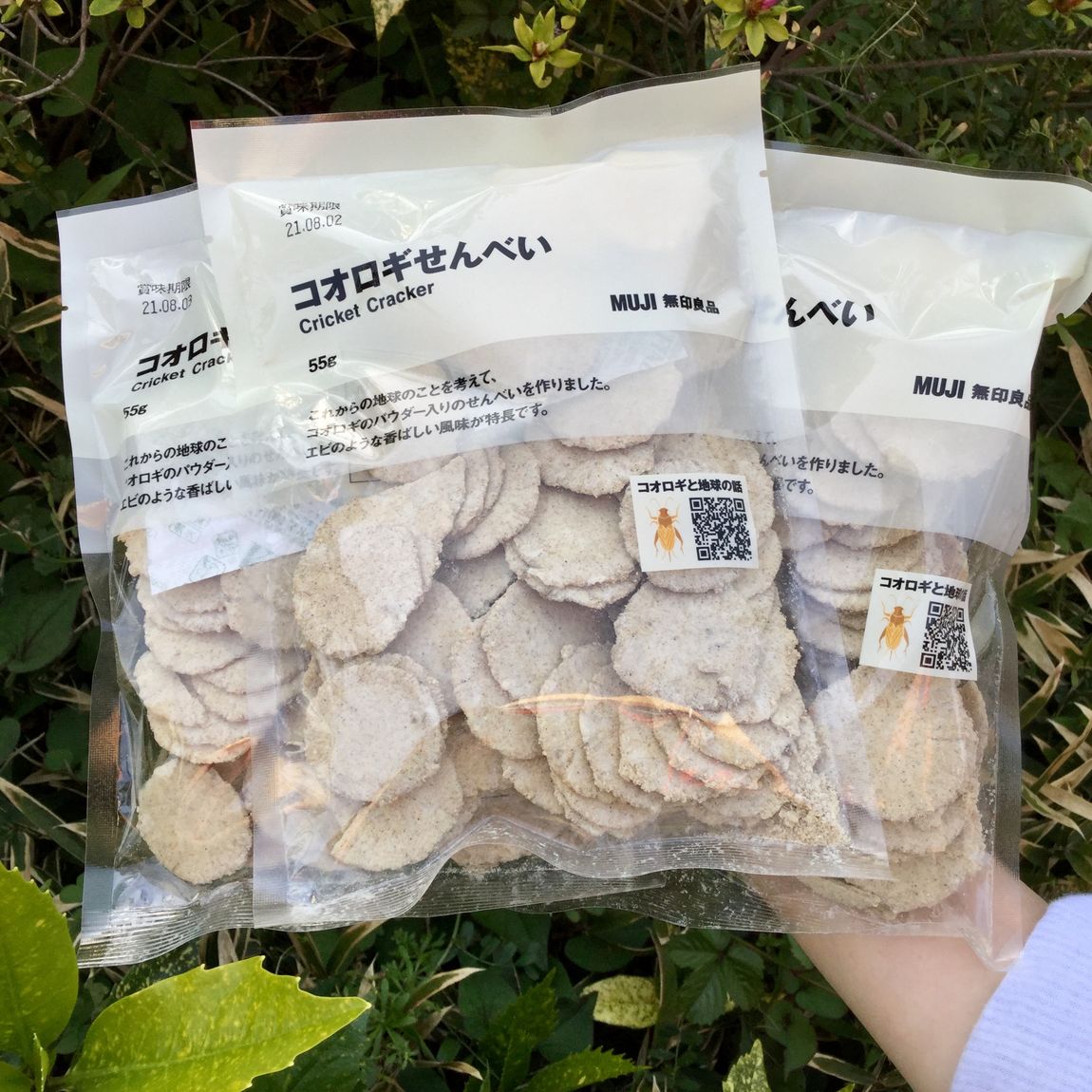 【アリオ倉敷】コオロギせんべい、入荷しました