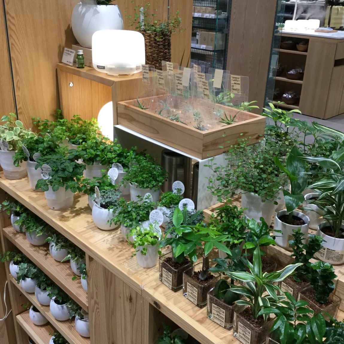 【アリオ倉敷】おうちで無印良品 