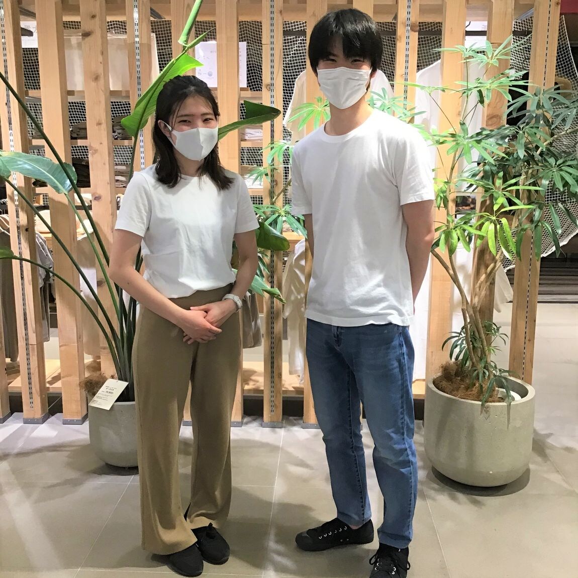 インド綿天竺編みTシャツ　表紙