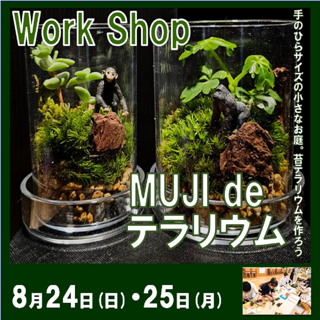 テラリウムイベント1