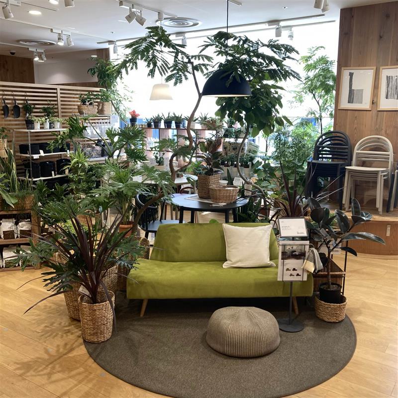 グリーン9月入荷