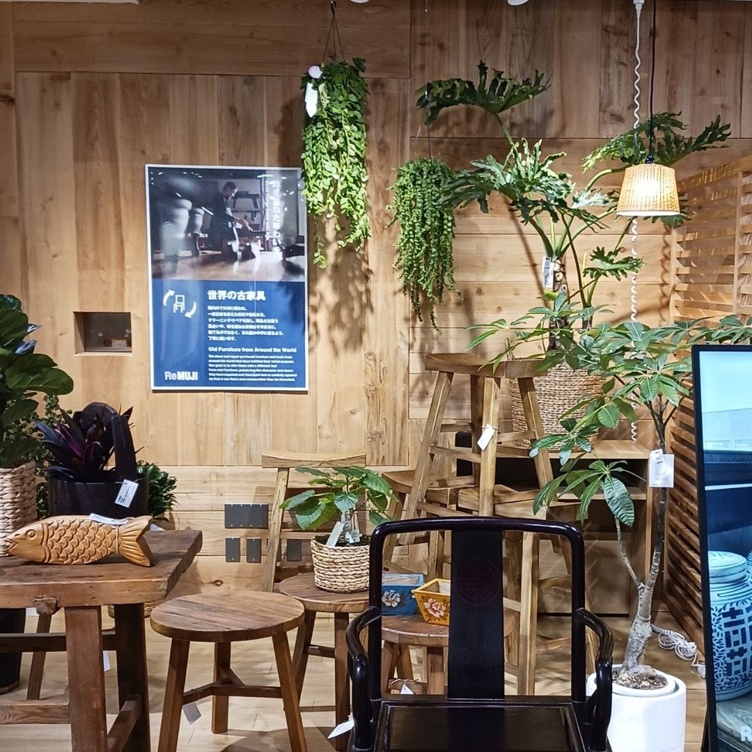 エスキナンサス全体画像