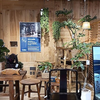 【錦糸町パルコ】今月の一鉢：エスキナンサス 