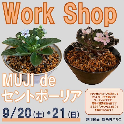 【錦糸町パルコ】ワークショップ『MUJI de セントポーリア』のご案内