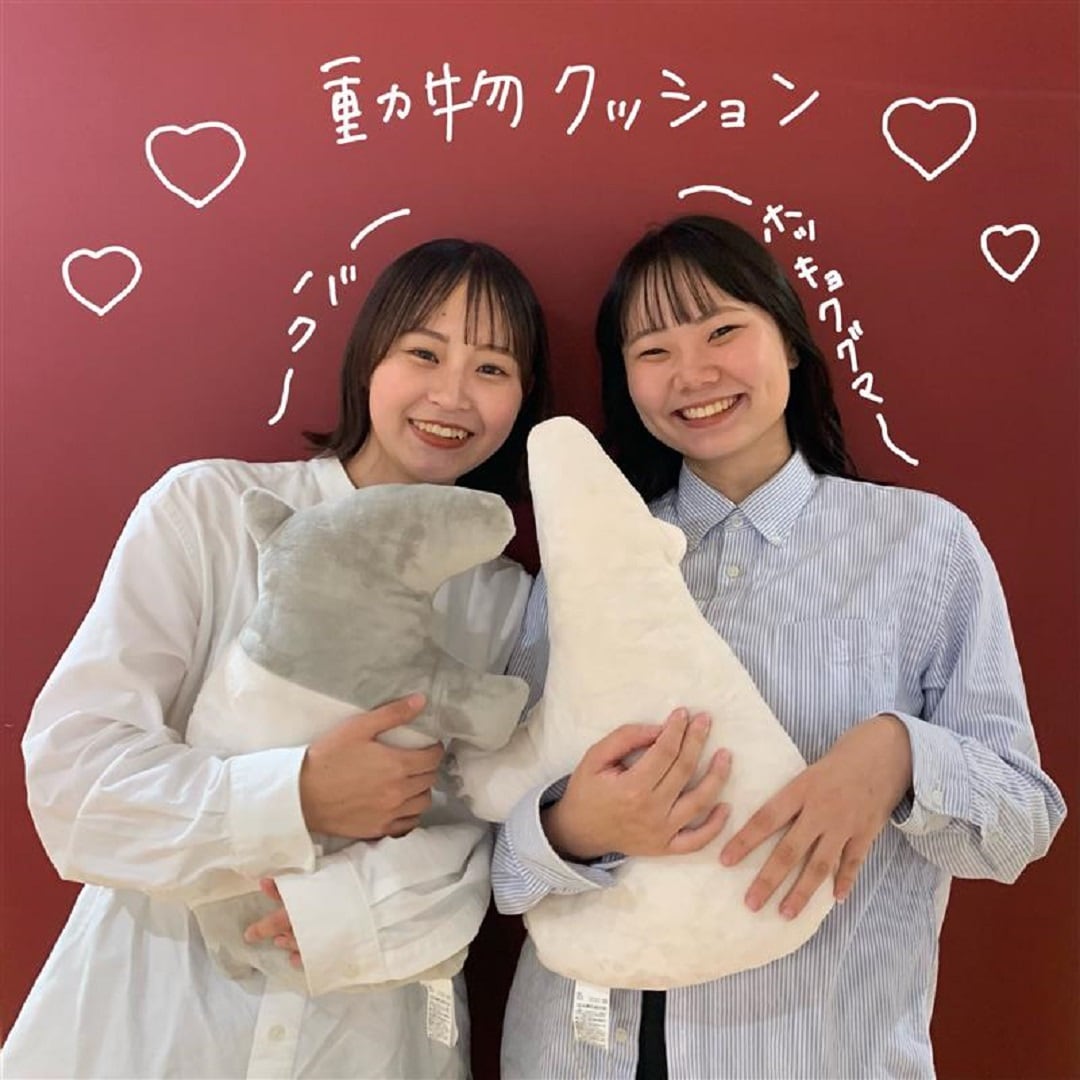 アドベンチャーワールド+αメモ・34（マレーバクのぬいぐるみ