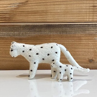 【イオンモール津南】キルギスからの旅人、ユキヒョウが津南にやってきた