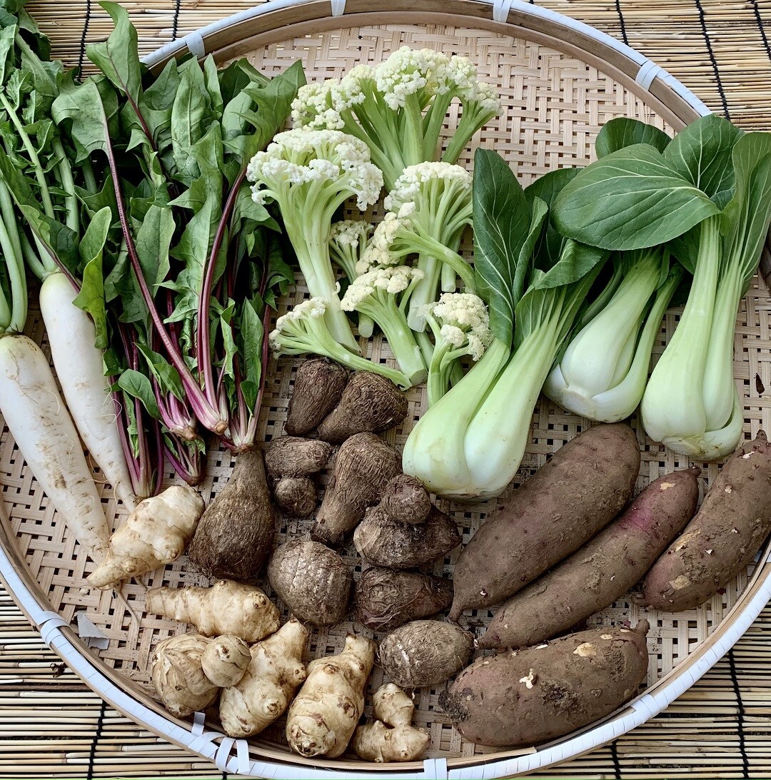 マチコロ様野菜の写真