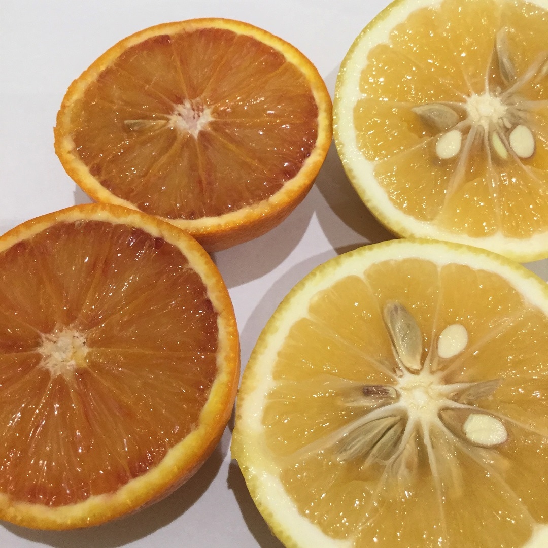 キービジュアル画像：糸島産フルーツのご紹介｜まち便り