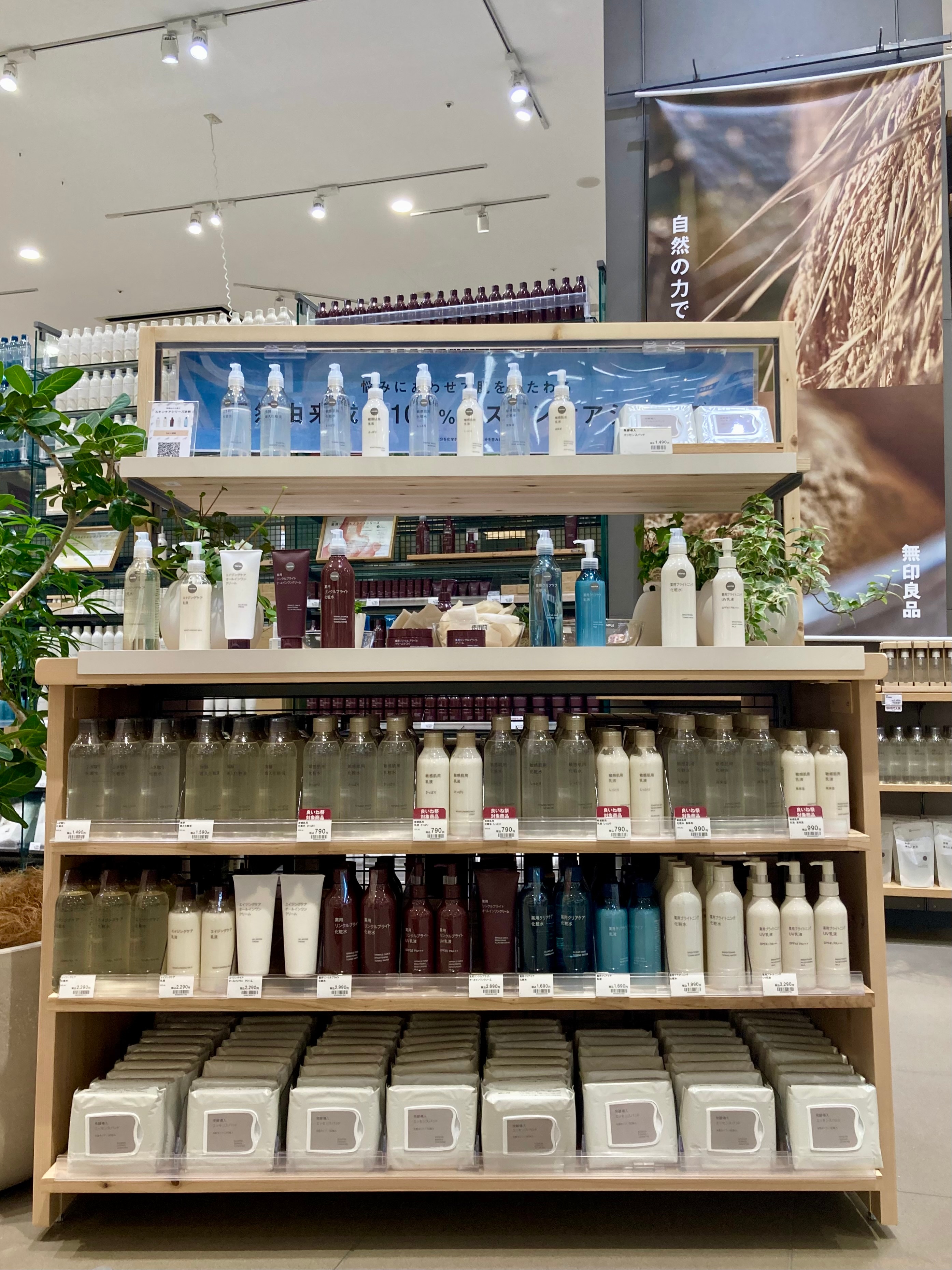 スキンケア相談会のお知らせ