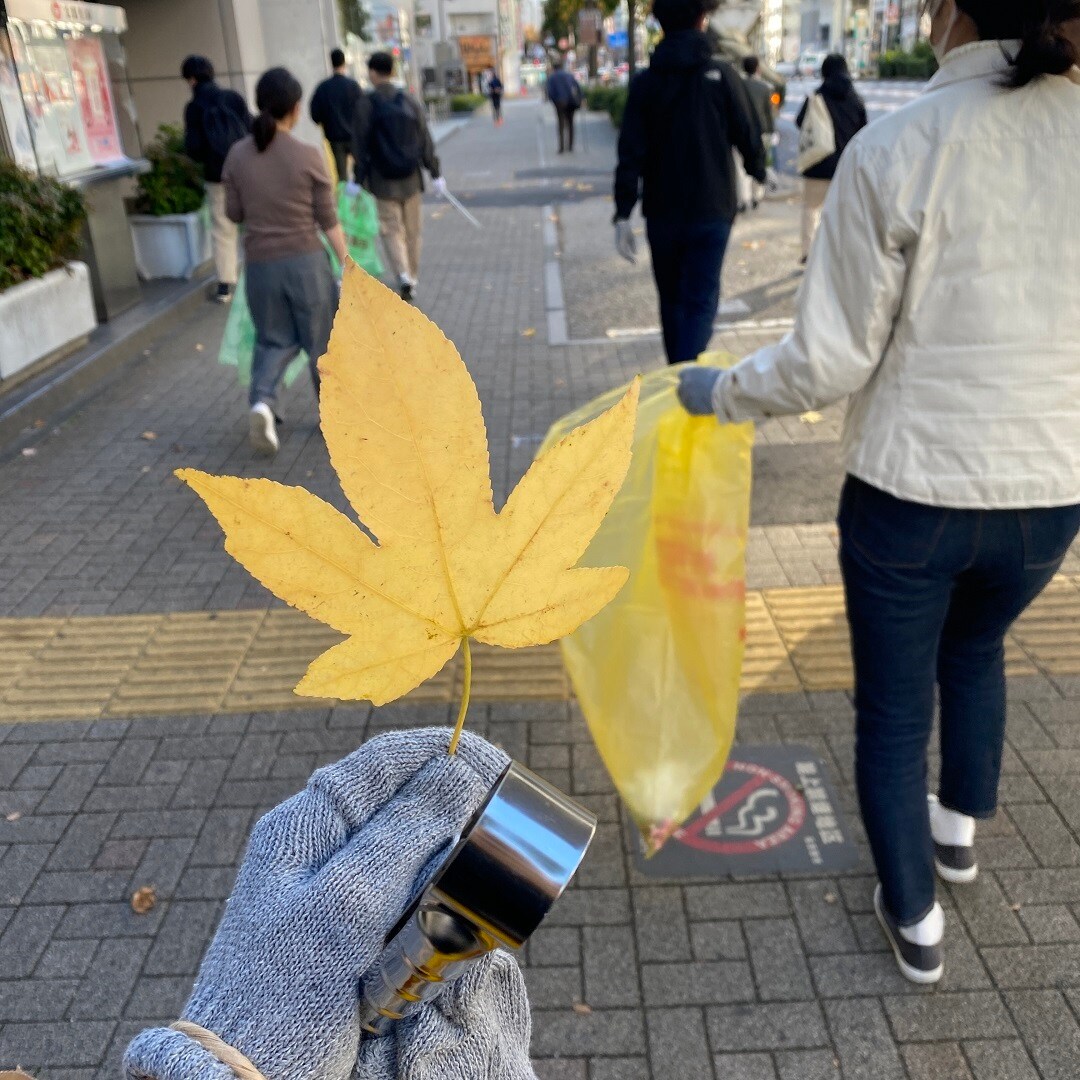 掃除